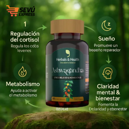 Ashwagandha 60 Cápsulas – Manejo Natural del Estrés y Bienestar Diario